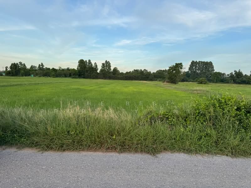 ที่ดิน\บ้านโพธิ์ ฉะเชิงเทรา, Chachoengsao, Laem Pradu, Ban Pho, Chachoengsao, , 8,000 sqm, Land For Sale, by The Best Property กีต้าร์, 500371448 - DDproperty.com