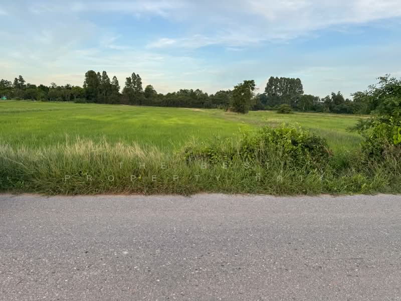 ที่ดิน\บ้านโพธิ์ ฉะเชิงเทรา, Chachoengsao, Laem Pradu, Ban Pho, Chachoengsao, , 8,000 sqm, Land For Sale, by The Best Property กีต้าร์, 500371448 - DDproperty.com