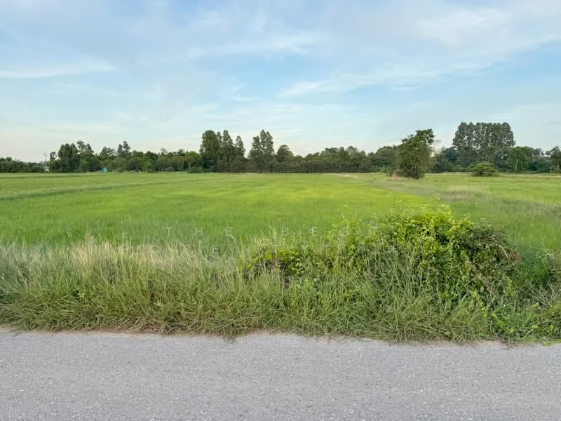 ที่ดิน\บ้านโพธิ์ ฉะเชิงเทรา, Chachoengsao, Laem Pradu, Ban Pho, Chachoengsao, , 8,000 sqm, Land For Sale, by The Best Property กีต้าร์, 500371448 - DDproperty.com