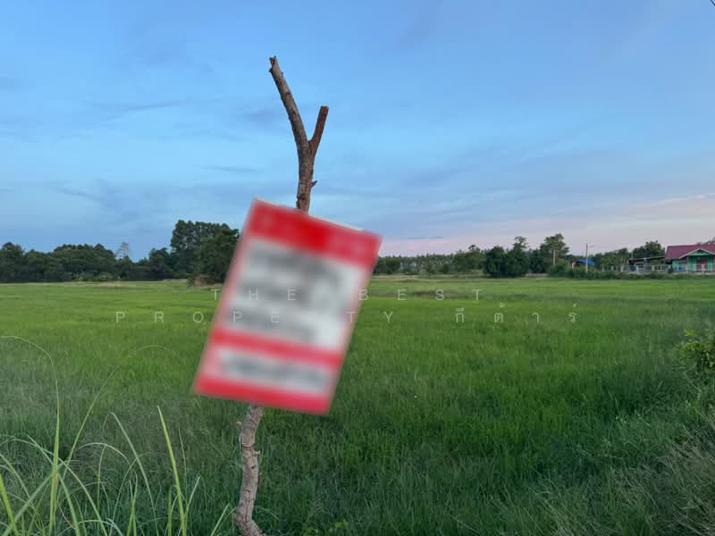 ที่ดิน\บ้านโพธิ์ ฉะเชิงเทรา, Chachoengsao, Laem Pradu, Ban Pho, Chachoengsao, , 8,000 sqm, Land For Sale, by The Best Property กีต้าร์, 500371448 - DDproperty.com