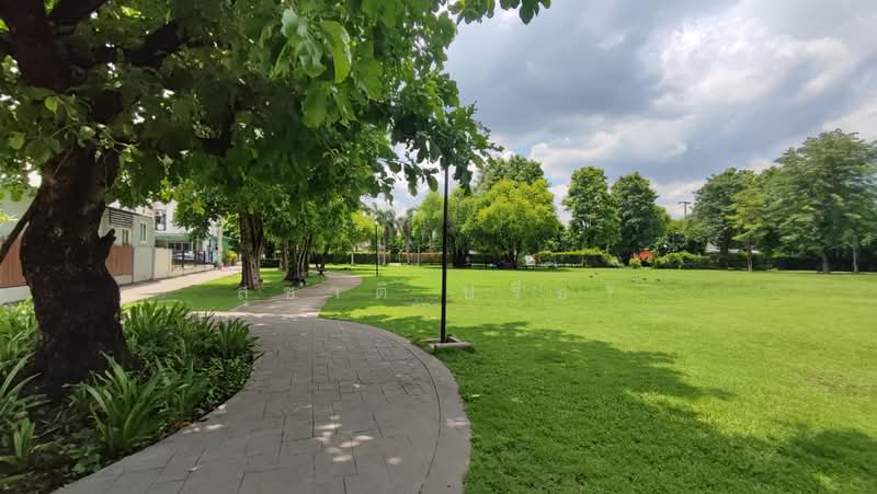 The Plant Citi Nawamin, Bangkok, Nawamin Road, Khlong Kum, Bueng Kum, Bangkok, 3 Bedrooms, 157 sqm, Townhouse For Sale, by สุชาติ ปรีชา, 500371554 - DDproperty.com
