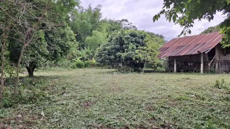 ไม่พบโครงการ, เชียงราย, , สันทราย, เมืองเชียงราย, เชียงราย, 1,656 ตร.ม., ที่ดิน ขาย, โดย รัตนฉัตร์ ชยานันท์สิริภัค, 500371676 - DDproperty.com
