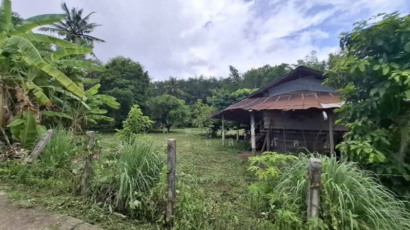 ไม่พบโครงการ, Chiang Rai, -, Sun Sai, Muang Chiang Rai, Chiang Rai, , 1,656 sqm, Land For Sale, by รัตนฉัตร์ ชยานันท์สิริภัค, 500371676 - DDproperty.com