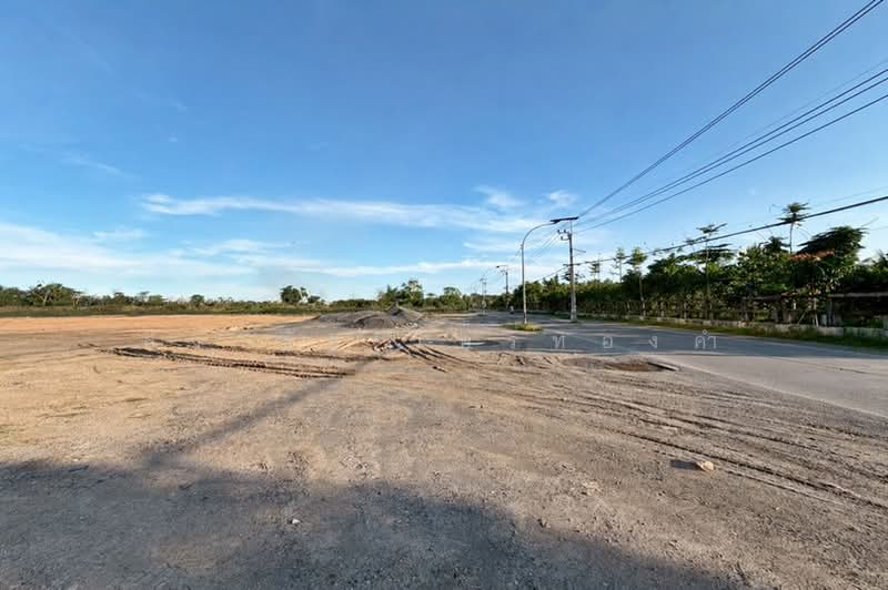 ขายที่ดินถมแล้ว 6 ไร่ 1 งาน 33 ตร.ว. ถนนรังสิต-นครนายก คลอง 8 หนองเสือ ปทุมธานี, ปทุมธานี, รังสิต-นครนายก คลอง 8, ลำผักกูด, ธัญบุรี, ปทุมธานี, 10,132 ตร.ม., ที่ดิน ขาย, โดย สง่าชัย ไทรทองคำ, 500371806 - DDproperty.com
