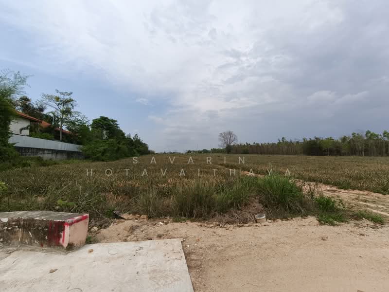 SiamCountryClub Land plot, ชลบุรี, หนองปรือ, บางละมุง, ชลบุรี, 57,600 ตร.ม., กิจการ ขาย, โดย Savarin Hotavaithaya, 500371831 - DDproperty.com
