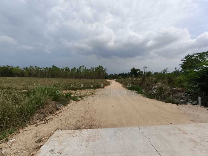 SiamCountryClub Land plot, ชลบุรี, หนองปรือ, บางละมุง, ชลบุรี, 57,600 ตร.ม., กิจการ ขาย, โดย Savarin Hotavaithaya, 500371831 - DDproperty.com