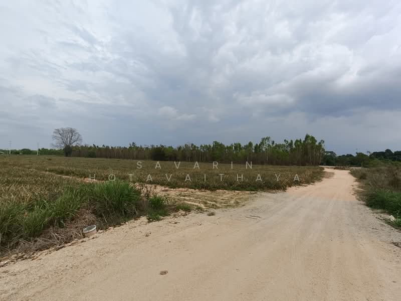 SiamCountryClub Land plot, ชลบุรี, หนองปรือ, บางละมุง, ชลบุรี, 57,600 ตร.ม., กิจการ ขาย, โดย Savarin Hotavaithaya, 500371831 - DDproperty.com