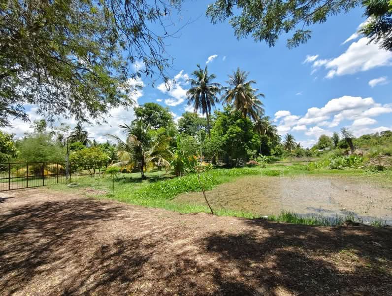 บ้านเดี่ยวบ้านโป่ง ราชบุรี, Ratchaburi, Khung Phayom, Ban Pong, Ratchaburi, 2 Bedrooms, 150 sqm, Single Detached House For Sale, by The Best Property โอ็ต, 500371898 - DDproperty.com