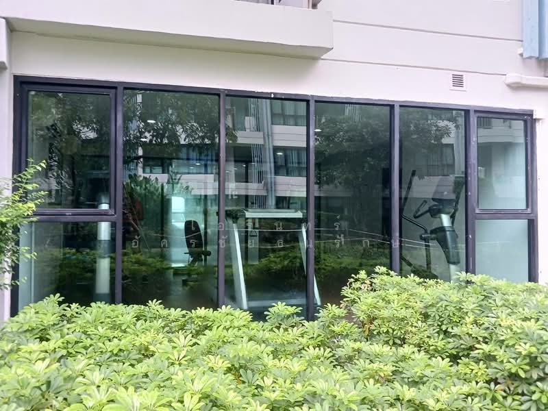 Centrio Condominium : เซนทริโอ คอนโดมิเนียม, ภูเก็ต, วิชิตสงคราม, กะทู้, กะทู้, ภูเก็ต, 47 ตร.ม., คอนโด ให้เช่า, โดย ไอรินทร์ อัครชัยธนรักษ์, 500371900 - DDproperty.com