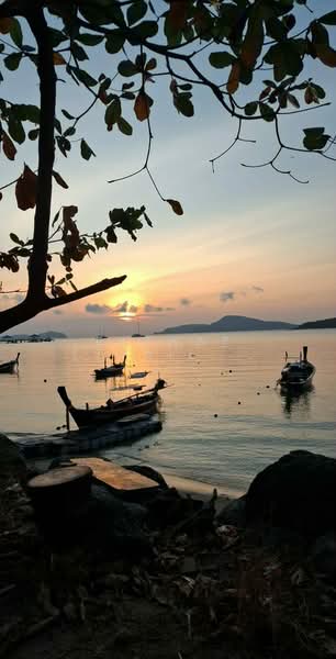 The Title V, Phuket, Wiset Road, Rawai, Muang Phuket, Phuket, 2 Bedrooms, 60 sqm, Condo For Rent, by Fazwaz (Thailand) Co., Ltd., 500371902 - DDproperty.com