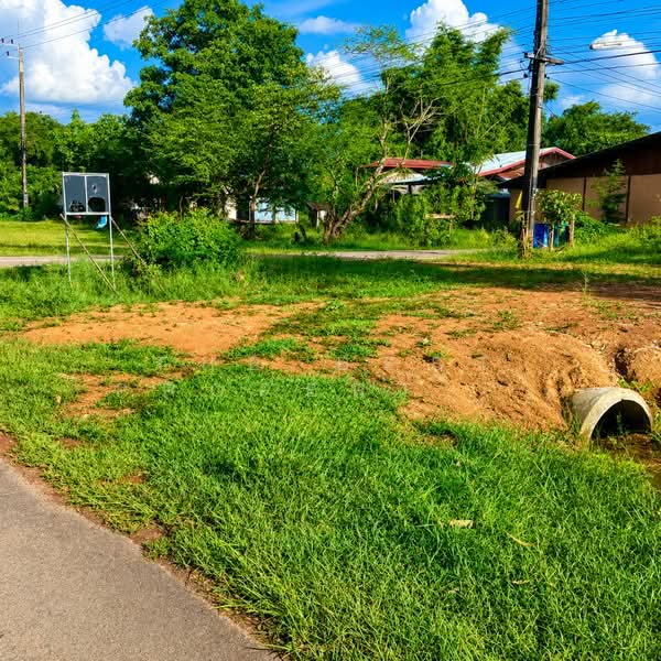 ที่ดินบ้านผึ้ง นครพนม, Nakhon Phanom, Ban Pung, Muang Nakhon Phanom, Nakhon Phanom, , 380 sqm, Land For Sale, by The Best Property แมว, 500371922 - DDproperty.com