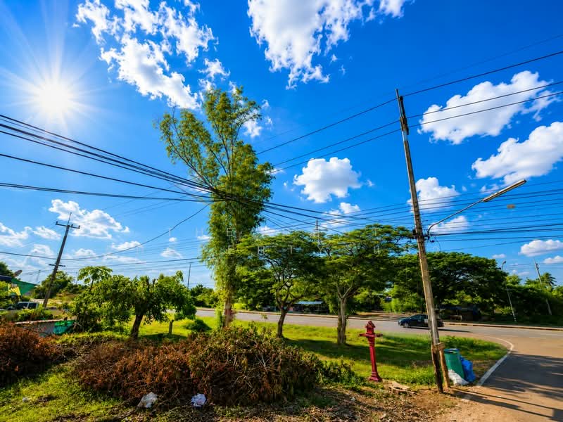 ที่ดินบ้านผึ้ง นครพนม, Nakhon Phanom, Ban Pung, Muang Nakhon Phanom, Nakhon Phanom, , 380 sqm, Land For Sale, by The Best Property แมว, 500371922 - DDproperty.com