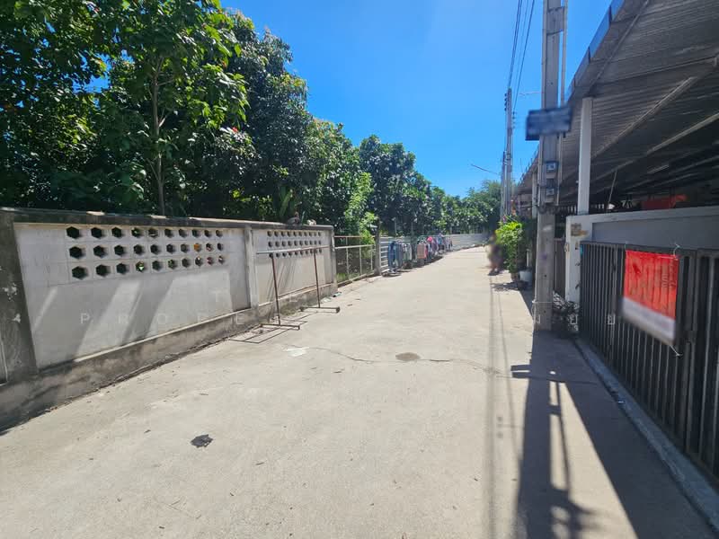 ทาวน์เฮ้าส์หนองรี ชลบุรี, Chon Buri (Pattaya), Nong Ri, Muang Chon Buri, Chon Buri (Pattaya), 2 Bedrooms, 150 sqm, Townhouse For Sale, by The Best Property แก้มยุ้ย, 500371937 - DDproperty.com