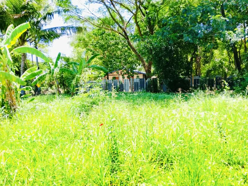 ที่ดินนอกเมือง สุรินทร์, Surin, Nok Muang, Muang Surin, Surin, , 520 sqm, Land For Sale, by The Best Property   ต้อม, 500371970 - DDproperty.com