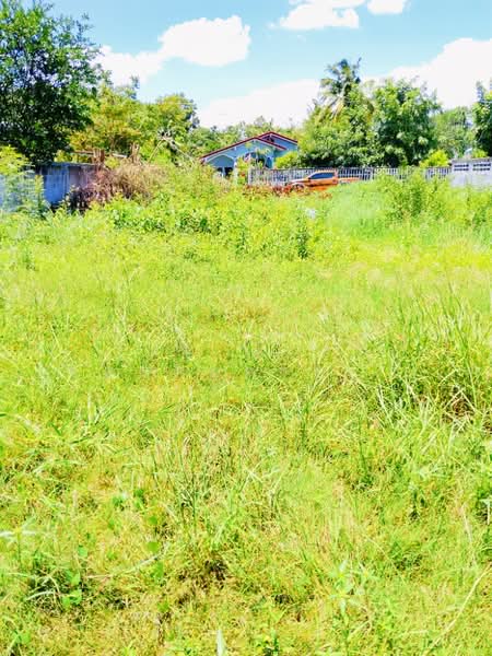 ที่ดินนอกเมือง สุรินทร์, Surin, Nok Muang, Muang Surin, Surin, , 520 sqm, Land For Sale, by The Best Property   ต้อม, 500371970 - DDproperty.com