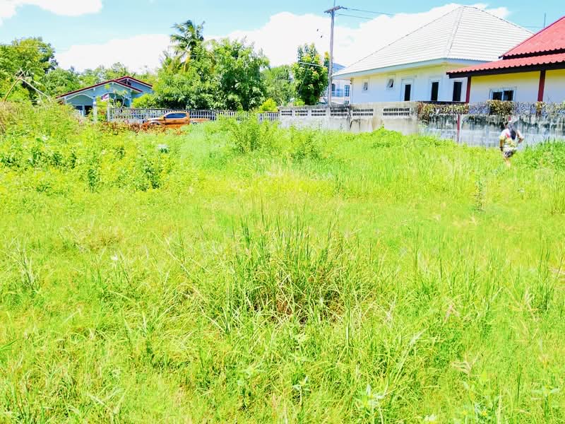 ที่ดินนอกเมือง สุรินทร์, Surin, Nok Muang, Muang Surin, Surin, , 520 sqm, Land For Sale, by The Best Property   ต้อม, 500371970 - DDproperty.com