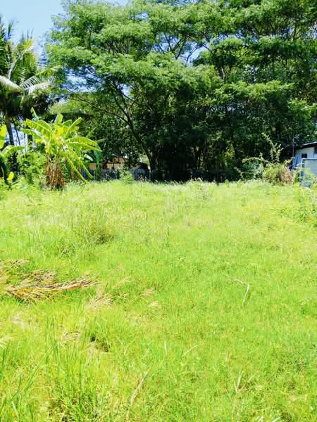 ที่ดินนอกเมือง สุรินทร์, Surin, Nok Muang, Muang Surin, Surin, , 520 sqm, Land For Sale, by The Best Property   ต้อม, 500371970 - DDproperty.com