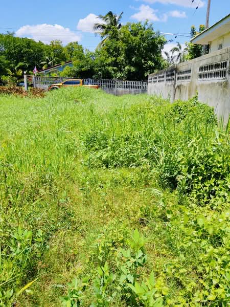 ที่ดินนอกเมือง สุรินทร์, Surin, Nok Muang, Muang Surin, Surin, , 520 sqm, Land For Sale, by The Best Property   ต้อม, 500371970 - DDproperty.com