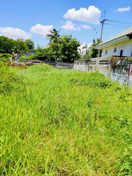 ที่ดินนอกเมือง สุรินทร์, Surin, Nok Muang, Muang Surin, Surin, , 520 sqm, Land For Sale, by The Best Property   ต้อม, 500371970 - DDproperty.com