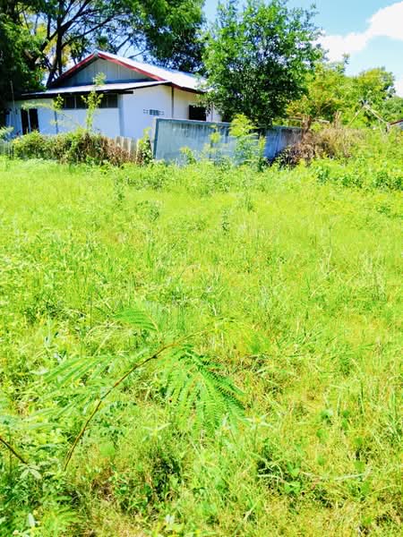 ที่ดินนอกเมือง สุรินทร์, Surin, Nok Muang, Muang Surin, Surin, , 520 sqm, Land For Sale, by The Best Property   ต้อม, 500371970 - DDproperty.com