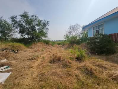ขาย - ที่ดินบางปะกง ฉะเชิงเทรา, ฉะเชิงเทรา