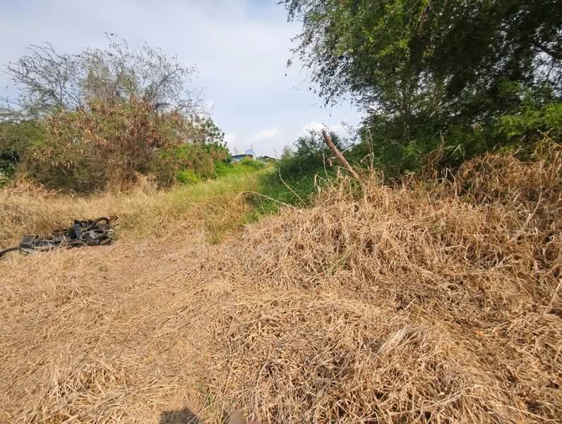 ที่ดินบางปะกง ฉะเชิงเทรา, ฉะเชิงเทรา, บางวัว, บางปะกง, ฉะเชิงเทรา, 200 ตร.ม., ที่ดิน ขาย, โดย The Best Property แก้ว, 500371992 - DDproperty.com