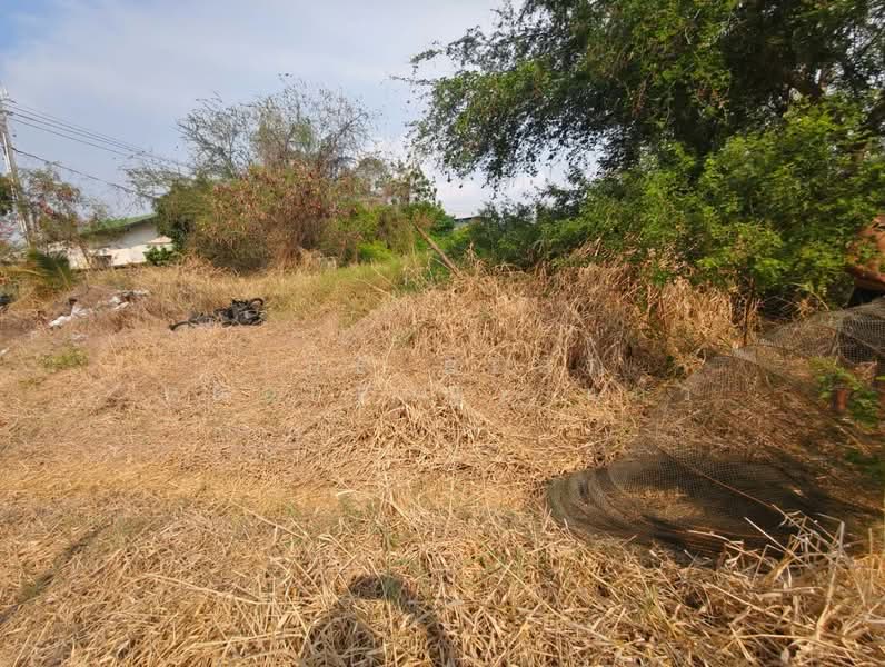 ที่ดินบางปะกง ฉะเชิงเทรา, ฉะเชิงเทรา, บางวัว, บางปะกง, ฉะเชิงเทรา, 200 ตร.ม., ที่ดิน ขาย, โดย The Best Property แก้ว, 500371992 - DDproperty.com