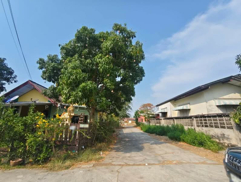 ที่ดินบางปะกง ฉะเชิงเทรา, ฉะเชิงเทรา, บางวัว, บางปะกง, ฉะเชิงเทรา, 200 ตร.ม., ที่ดิน ขาย, โดย The Best Property แก้ว, 500371992 - DDproperty.com