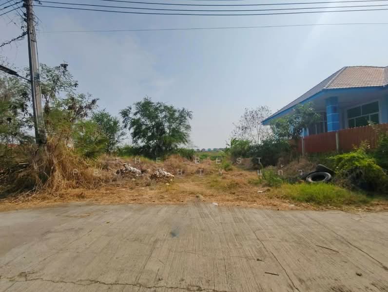 ที่ดินบางปะกง ฉะเชิงเทรา, Chachoengsao, Bang Wua, Bang Pakong, Chachoengsao, , 200 sqm, Land For Sale, by The Best Property แก้ว, 500371992 - DDproperty.com