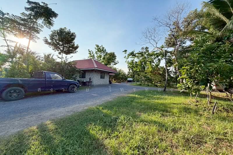 ขายที่ดินถมแล้ว พร้อมสิ่งปลูกสร้าง บ้านสวน 5 ไร่ ถนนรังสิต-นครนายก คลอง 8 หนองเสือ ปทุมธานี, Pathum Thani, ถนนรังสิต-นครนายก คลอง 8 หนองเสือ, Lam Phak Kut, Thanyaburi, Pathum Thani, , 8,000 sqm, Land For Sale, by สง่าชัย ไทรทองคำ, 500372002 - DDproperty.com