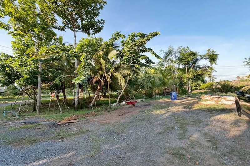 ขายที่ดินถมแล้ว พร้อมสิ่งปลูกสร้าง บ้านสวน 5 ไร่ ถนนรังสิต-นครนายก คลอง 8 หนองเสือ ปทุมธานี, ปทุมธานี, ถนนรังสิต-นครนายก คลอง 8 หนองเสือ, ลำผักกูด, ธัญบุรี, ปทุมธานี, 8,000 ตร.ม., ที่ดิน ขาย, โดย สง่าชัย ไทรทองคำ, 500372002 - DDproperty.com