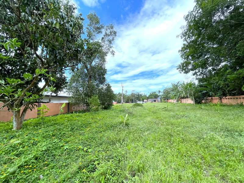 ที่ดินนบพิตำ นครศรีธรรมราช, Nakhon Si Thammarat, Na Reng, Nophi Tam, Nakhon Si Thammarat, , 3,272 sqm, Land For Sale, by The Best Property แจ๊ส, 500372024 - DDproperty.com