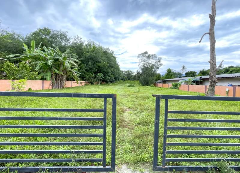 ที่ดินนบพิตำ นครศรีธรรมราช, Nakhon Si Thammarat, Na Reng, Nophi Tam, Nakhon Si Thammarat, , 3,272 sqm, Land For Sale, by The Best Property แจ๊ส, 500372024 - DDproperty.com