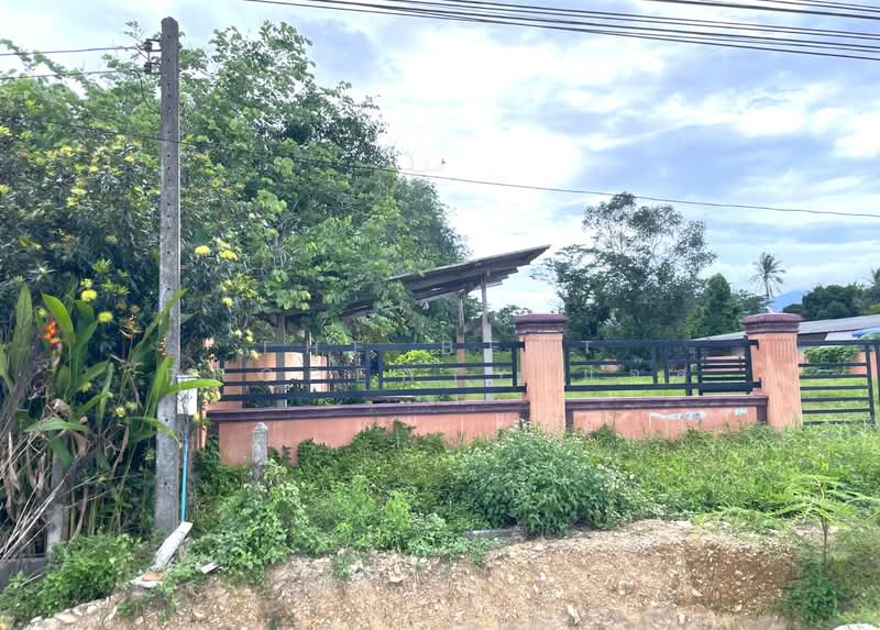 ที่ดินนบพิตำ นครศรีธรรมราช, Nakhon Si Thammarat, Na Reng, Nophi Tam, Nakhon Si Thammarat, , 3,272 sqm, Land For Sale, by The Best Property แจ๊ส, 500372024 - DDproperty.com