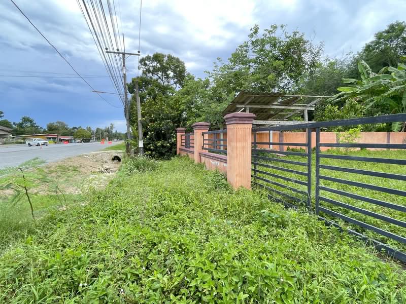ที่ดินนบพิตำ นครศรีธรรมราช, Nakhon Si Thammarat, Na Reng, Nophi Tam, Nakhon Si Thammarat, , 3,272 sqm, Land For Sale, by The Best Property แจ๊ส, 500372024 - DDproperty.com