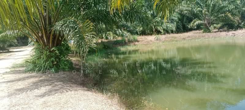 ที่ดินเกาะลันตา กระบี่, Krabi, Ko Lanta Noi, Ko Lanta, Krabi, , 6,688 sqm, Land For Sale, by The Best Property แจ๊ส, 500372063 - DDproperty.com