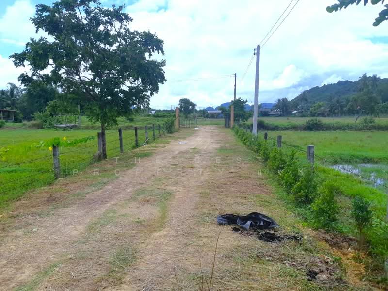 ที่ดินเกาะลันตา กระบี่, Krabi, Ko Lanta Noi, Ko Lanta, Krabi, , 6,688 sqm, Land For Sale, by The Best Property แจ๊ส, 500372063 - DDproperty.com