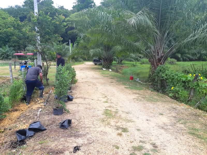ที่ดินเกาะลันตา กระบี่, Krabi, Ko Lanta Noi, Ko Lanta, Krabi, , 6,688 sqm, Land For Sale, by The Best Property แจ๊ส, 500372063 - DDproperty.com
