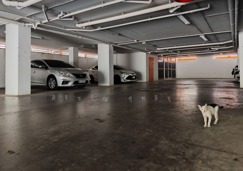 New Nordic Trend, Chon Buri (Pattaya), Pattaya Soi Phra Tamnak 4, Nong Pru, Bang Lamung (Pattaya), Chon Buri (Pattaya), 2 Bedrooms, 49 sqm, Condo For Sale, by ศิริขวัญ สุทธิชุม, 500372064 - DDproperty.com