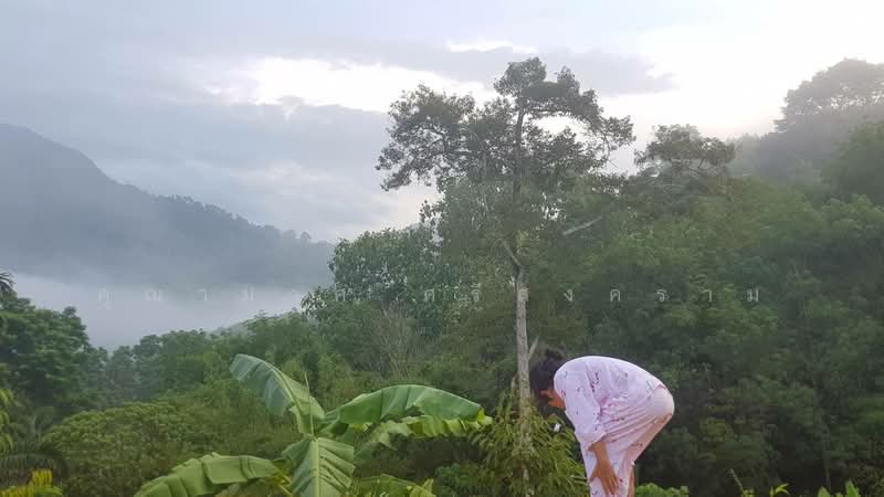 Land for rent, Nakhon Si Thammarat, นครศรี-จันดี, Khao Kaeo, Lan Saka, Nakhon Si Thammarat, , 8,000 sqm, Land For Rent, by Khunamat Srisongkhram, 500372067 - DDproperty.com