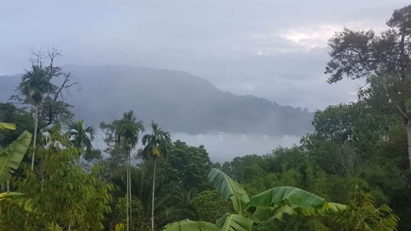 Land for rent, Nakhon Si Thammarat, นครศรี-จันดี, Khao Kaeo, Lan Saka, Nakhon Si Thammarat, , 8,000 sqm, Land For Rent, by Khunamat Srisongkhram, 500372067 - DDproperty.com