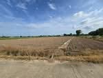 ที่ดินพร้อมพัฒนา น้ำ-ไฟเข้าถึง ทำเลดีในชุมชน เมืองพิษณุโลก, พิษณุโลก