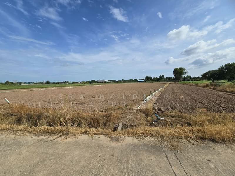 ที่ดินพร้อมพัฒนา น้ำ-ไฟเข้าถึง ทำเลดีในชุมชน เมืองพิษณุโลก, Phitsanulok, Bung Phra, Muang Phitsanulok, Phitsanulok, , 6,400 sqm, Land For Sale, by ERA Holding (Thailand) Co., Ltd., 500372083 - DDproperty.com