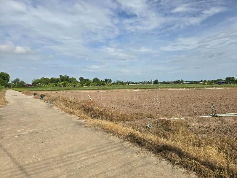 ที่ดินพร้อมพัฒนา น้ำ-ไฟเข้าถึง ทำเลดีในชุมชน เมืองพิษณุโลก, Phitsanulok, Bung Phra, Muang Phitsanulok, Phitsanulok, , 6,400 sqm, Land For Sale, by ERA Holding (Thailand) Co., Ltd., 500372083 - DDproperty.com