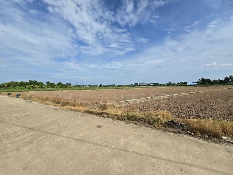 ที่ดินพร้อมพัฒนา น้ำ-ไฟเข้าถึง ทำเลดีในชุมชน เมืองพิษณุโลก, พิษณุโลก, บึงพระ, เมืองพิษณุโลก, พิษณุโลก, 6,400 ตร.ม., ที่ดิน ขาย, โดย ERA Holding (Thailand) Co., Ltd., 500372083 - DDproperty.com