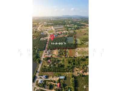 ขาย - ที่ดินแปลงสวยทำเลทอง พนัสนิคม-หมอนนาง ชลบุรี, ชลบุรี