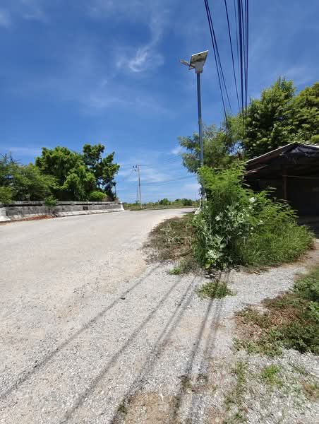 ที่ดินทำเลทอง EEC บางเกลือ-บางปะกง ใกล้นิคมเวลโกร์และนิคมอมตะ 1 ไร่ 30 ตร.ว. เหมาะลงทุนทำโกดัง-หอพัก, ฉะเชิงเทรา, บางเกลือ, บางปะกง, ฉะเชิงเทรา, 1,720 ตร.ม., ที่ดิน ขาย, โดย Khommaphat Phumbandit, 500372136 - DDproperty.com