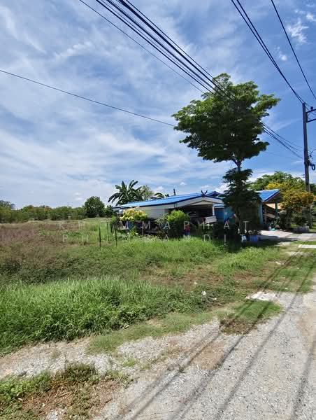 Prime EEC Land for Sale in Bang Khlae–Bang PakongNear Wellgrow Industrial Estate and Amata City Chon, Chachoengsao, Bang Klua, Bang Pakong, Chachoengsao, , 1,720 sqm, Land For Sale, by Khommaphat Phumbandit, 500372136 - DDproperty.com