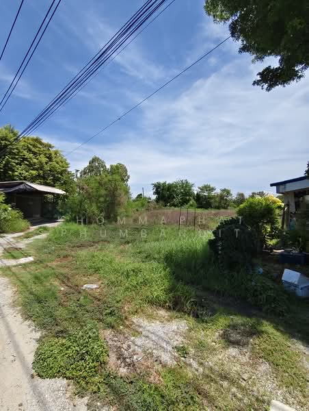 ที่ดินทำเลทอง EEC บางเกลือ-บางปะกง ใกล้นิคมเวลโกร์และนิคมอมตะ 1 ไร่ 30 ตร.ว. เหมาะลงทุนทำโกดัง-หอพัก, ฉะเชิงเทรา, บางเกลือ, บางปะกง, ฉะเชิงเทรา, 1,720 ตร.ม., ที่ดิน ขาย, โดย Khommaphat Phumbandit, 500372136 - DDproperty.com