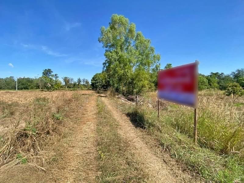 ที่ดินสำราญ ขอนแก่น, ขอนแก่น, สำราญ, เมืองขอนแก่น, ขอนแก่น, 8,000 ตร.ม., ที่ดิน ขาย, โดย The Best Property นก, 500372200 - DDproperty.com